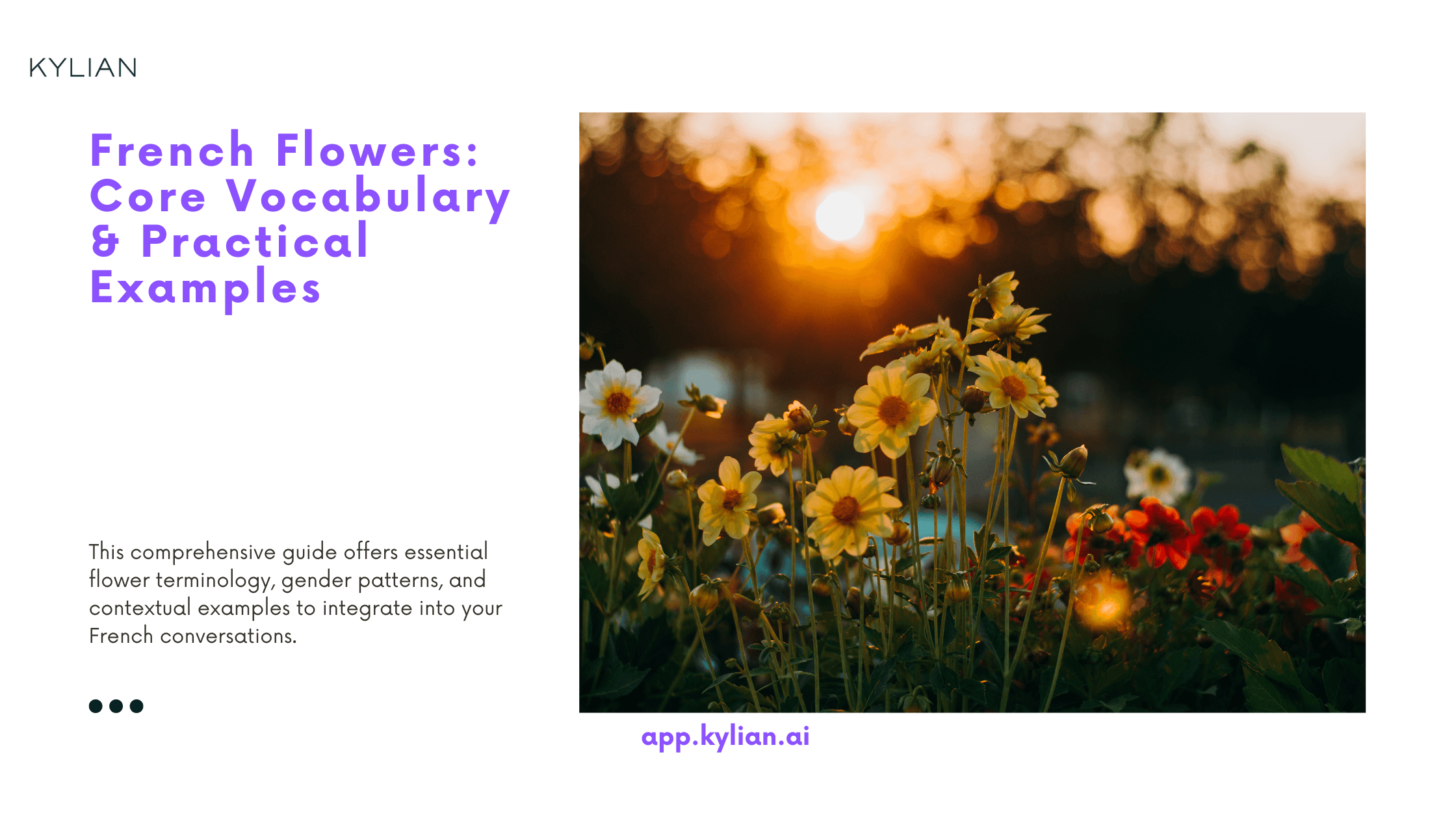 French Flowers: Core Vocabulary & Practical Examples