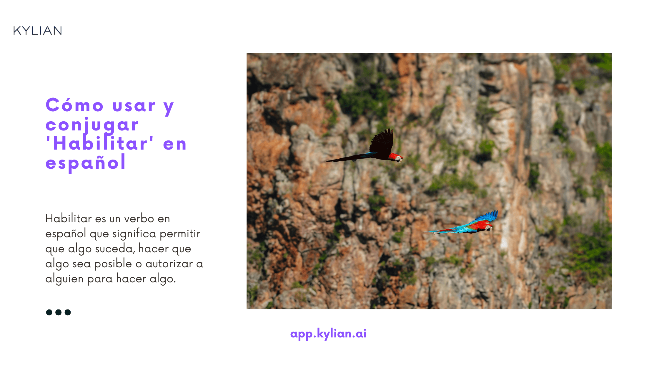 Cómo usar y conjugar 'Habilitar' en español