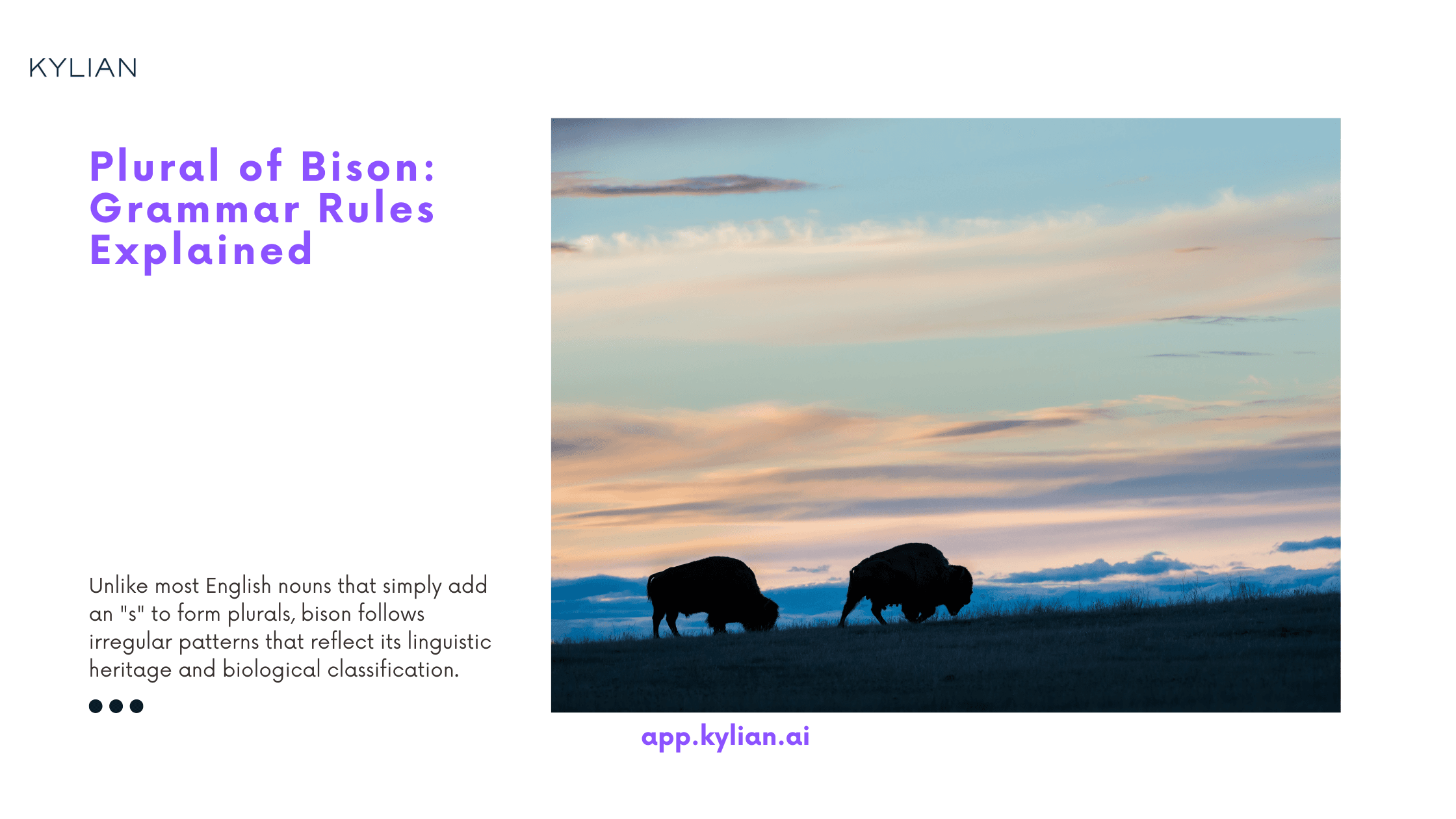 Plural of Bison: Grammar Rules Explained