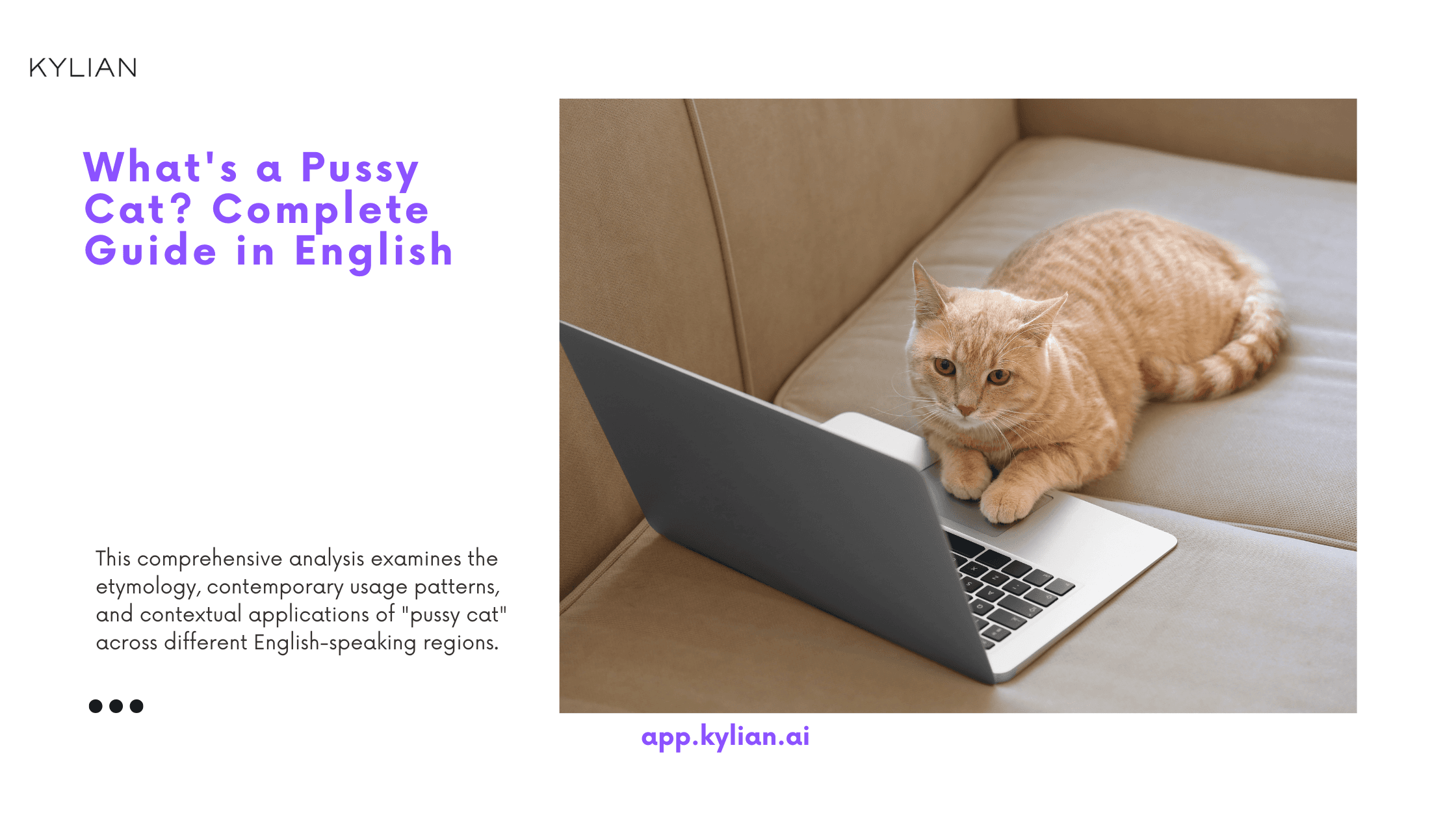 What's a Pussy Cat? Complete Guide in English