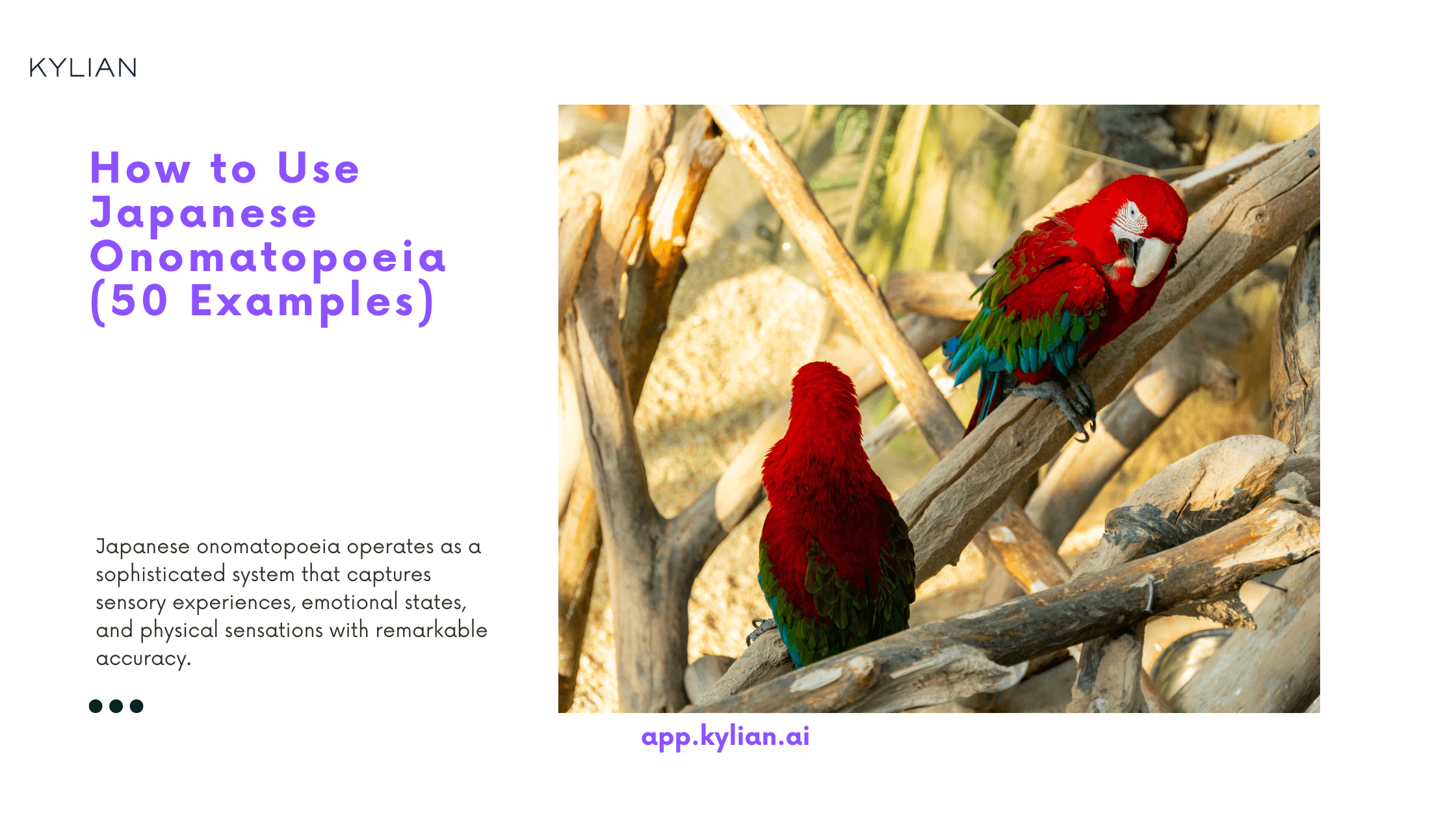 How to Use Japanese Onomatopoeia (50 Examples)