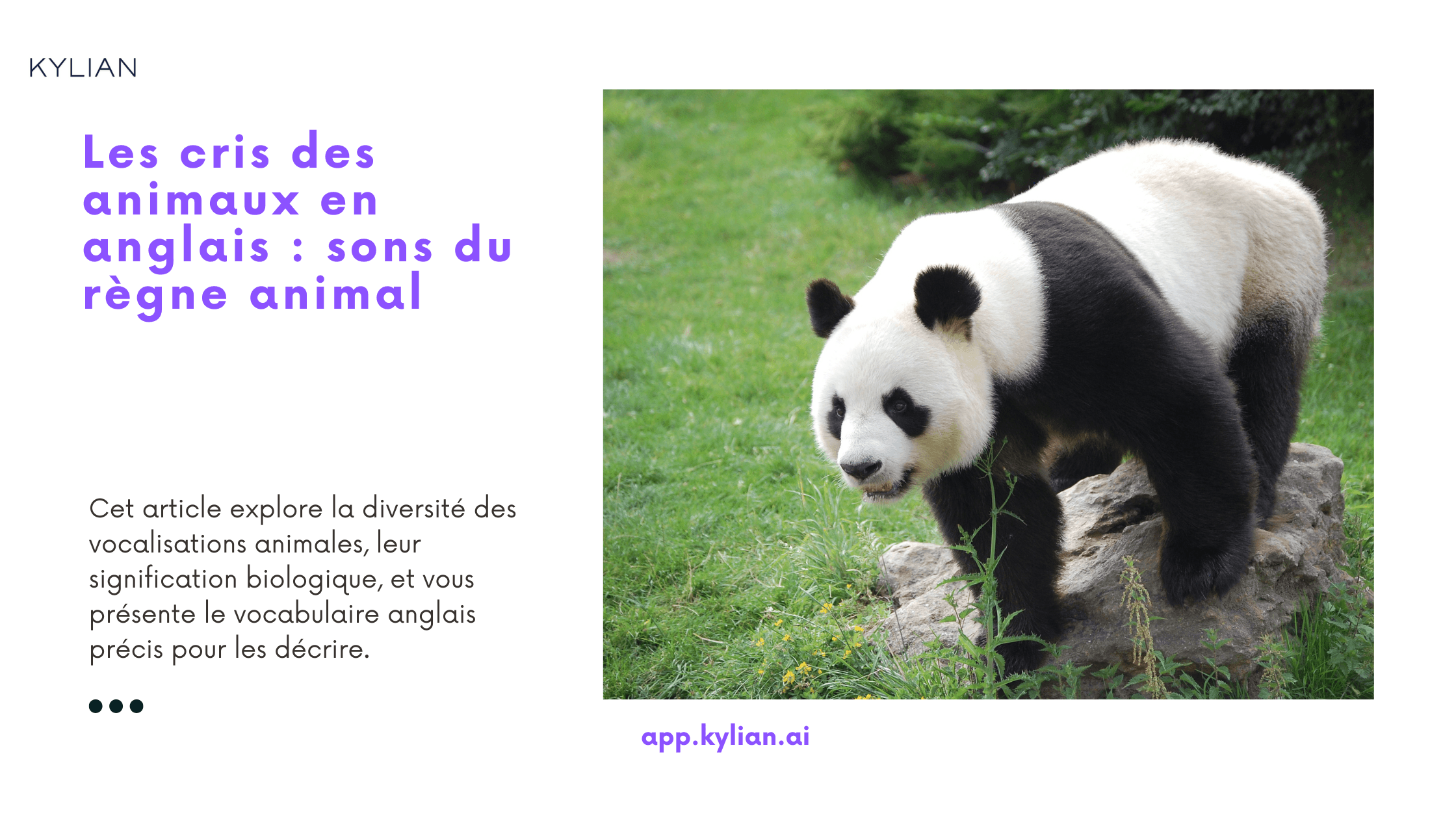 Les cris des animaux en anglais : sons du règne animal