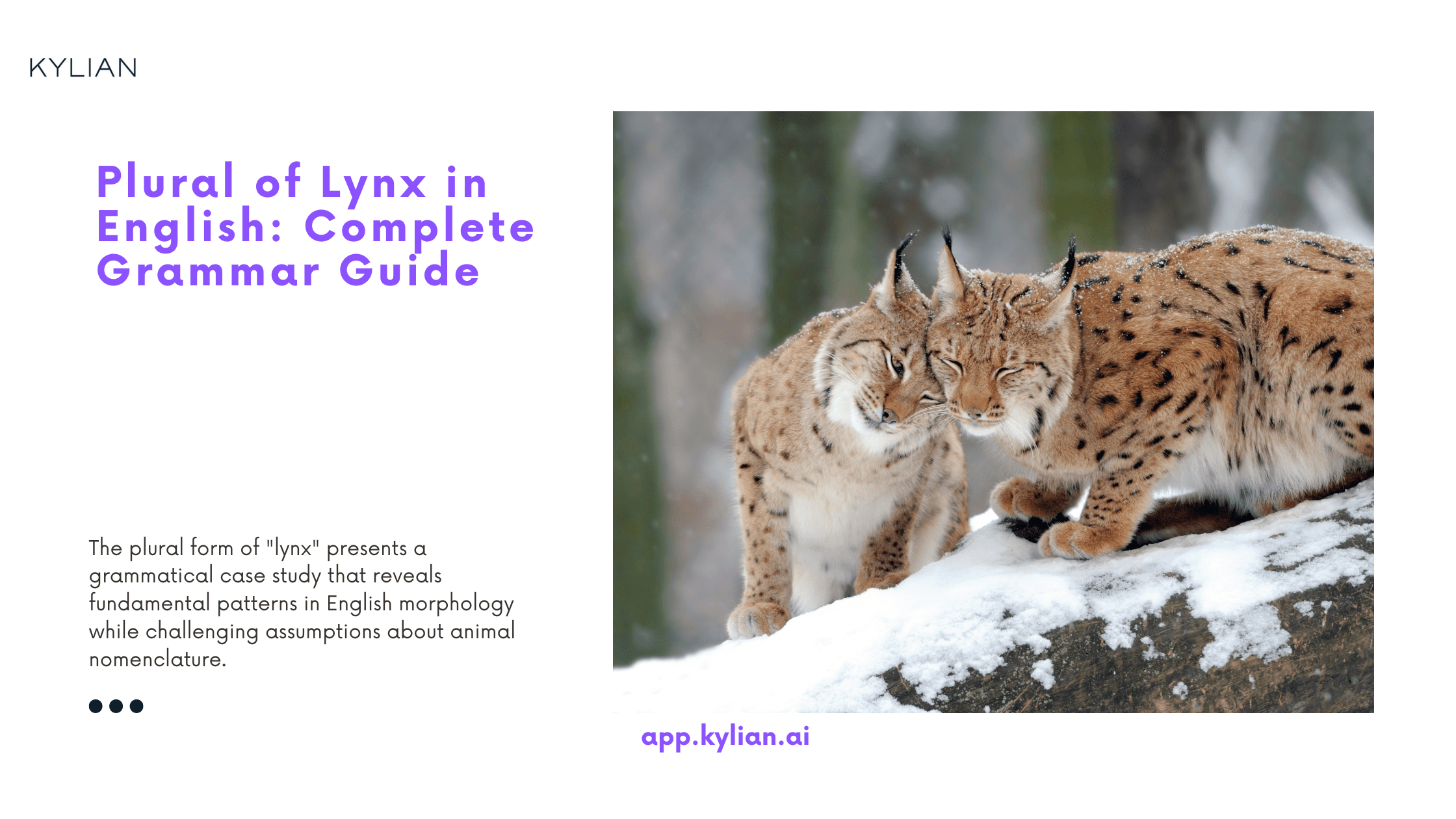 Plural of Lynx in English: Complete Grammar Guide
