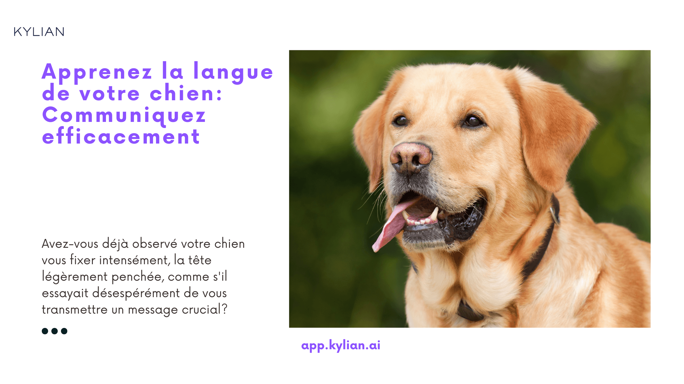 Apprenez la langue de votre chien: Communiquez efficacement