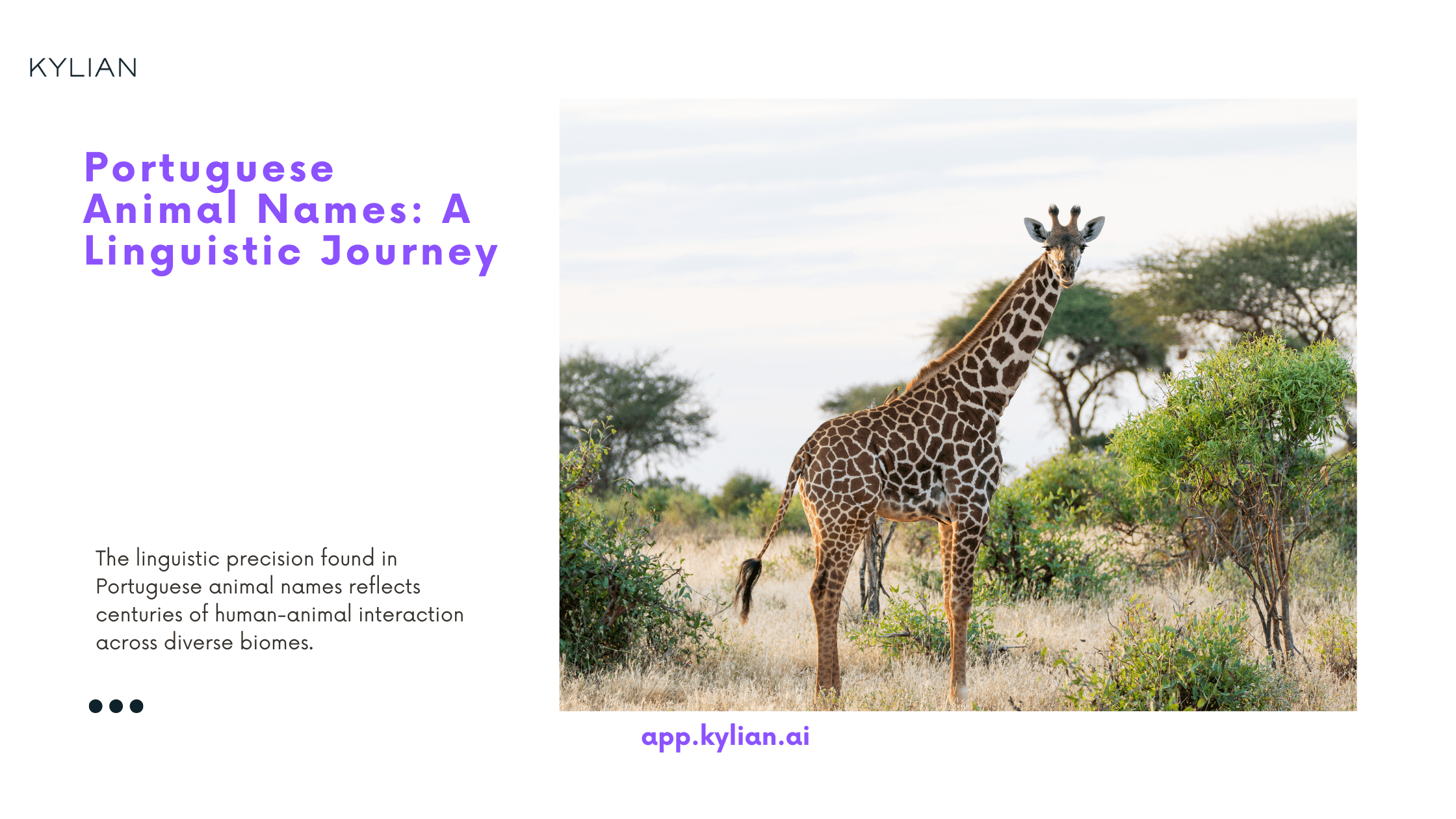 Portuguese Animal Names: A Linguistic Journey