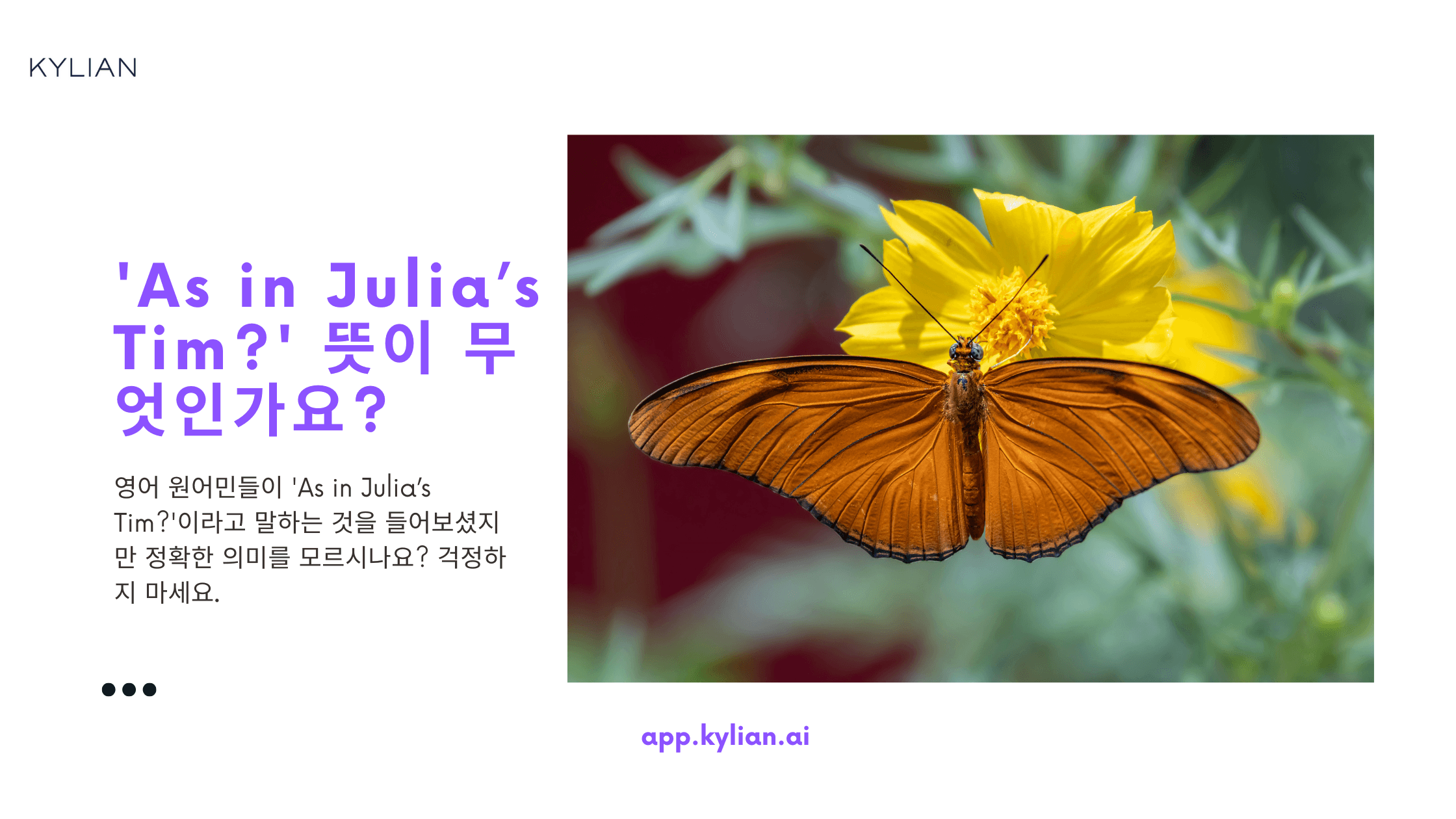 ‘As in Julia’s Tim?’ 이 문장에서 ‘as in’은 정확히 어떤 뜻인가요? 다른 예시로는 어떻게 사용할 수 있을까요?