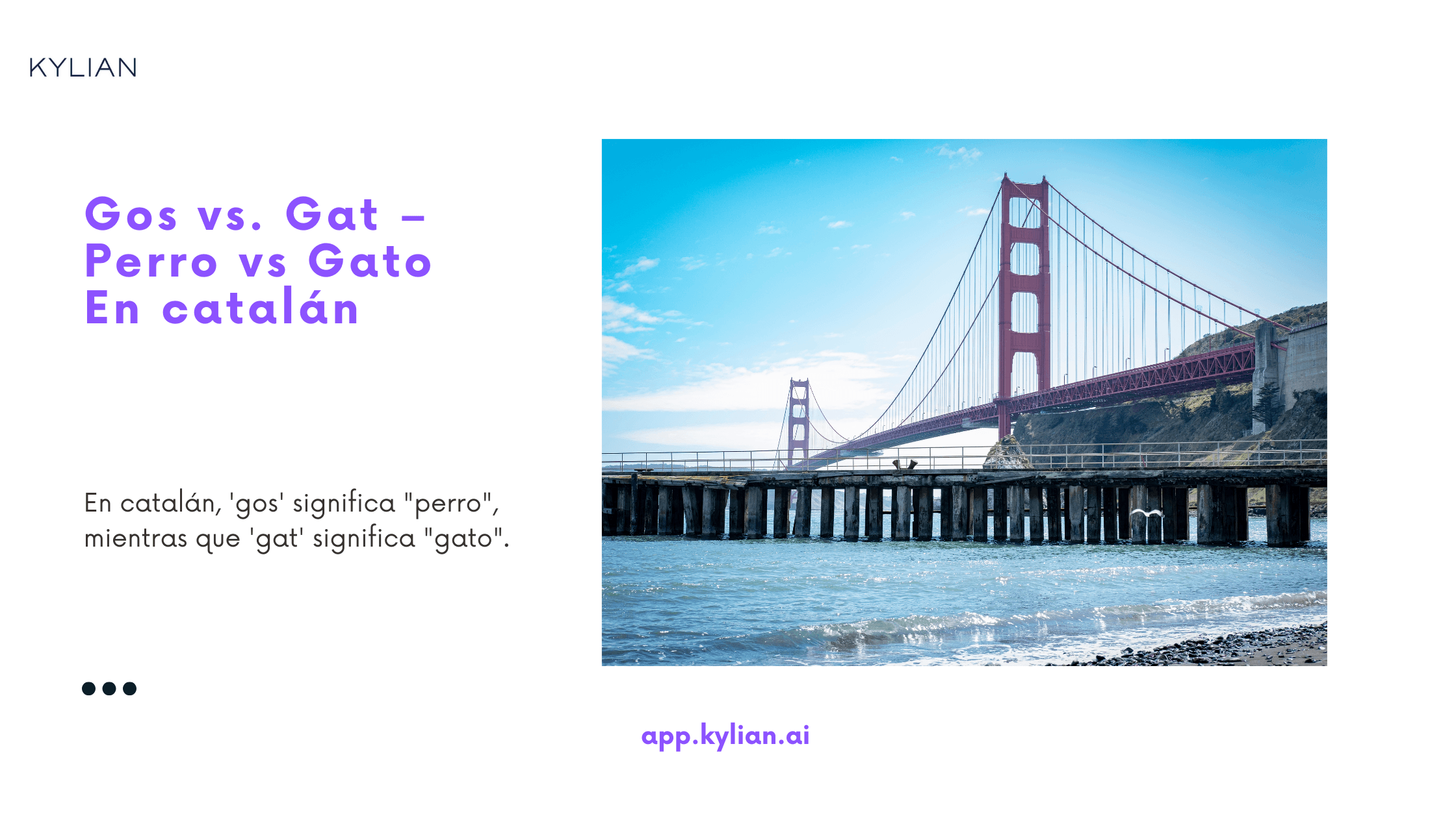 Gos vs. Gat – Perro vs Gato En catalán
