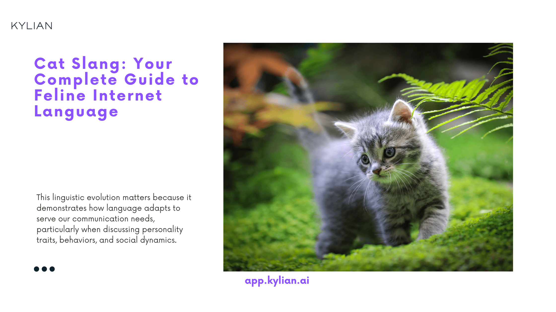 Cat Slang: Your Complete Guide to Feline Internet Language