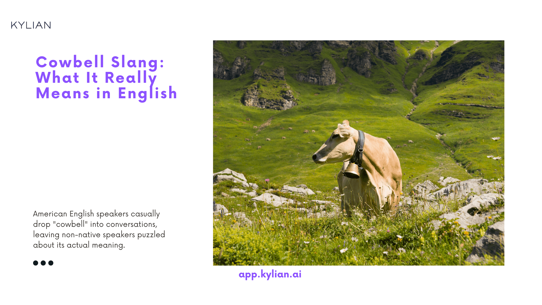 Cowbell Slang: What It Really Means in English