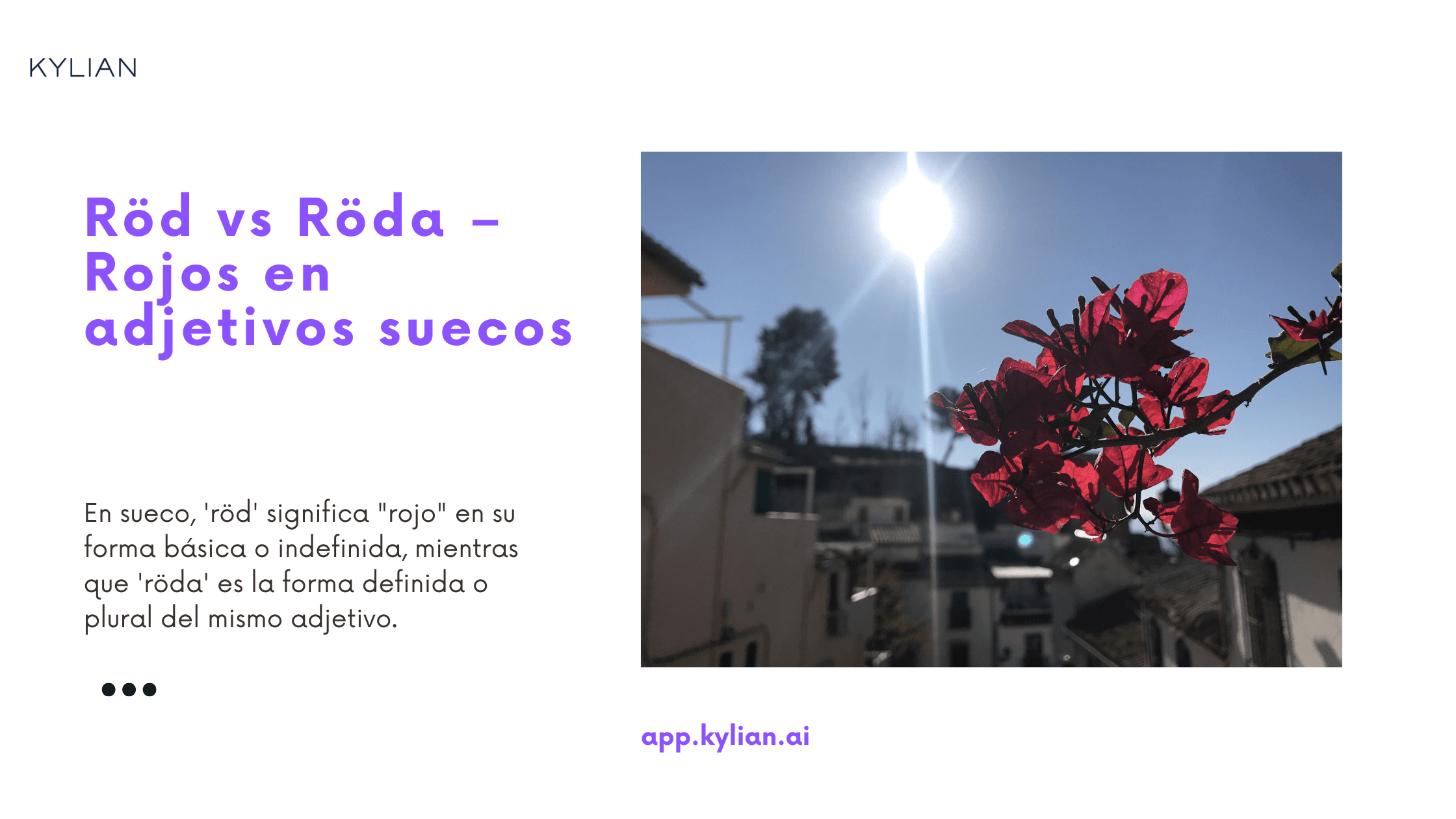 Röd vs Röda – Rojos en adjetivos suecos